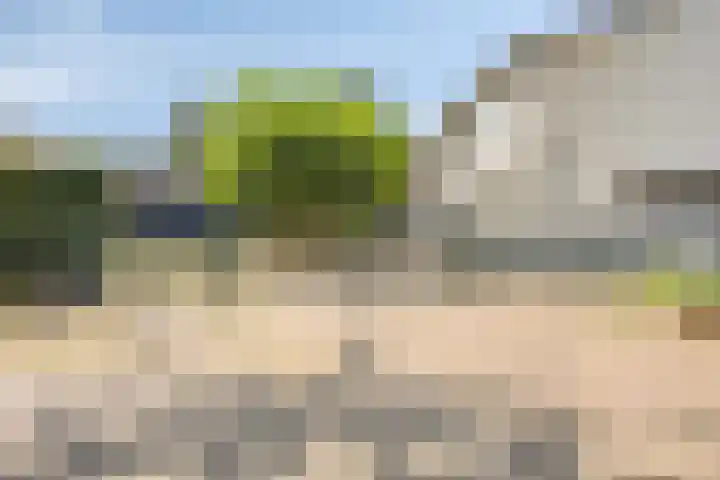 Dijk 18 Grevenbicht thumbnail 35