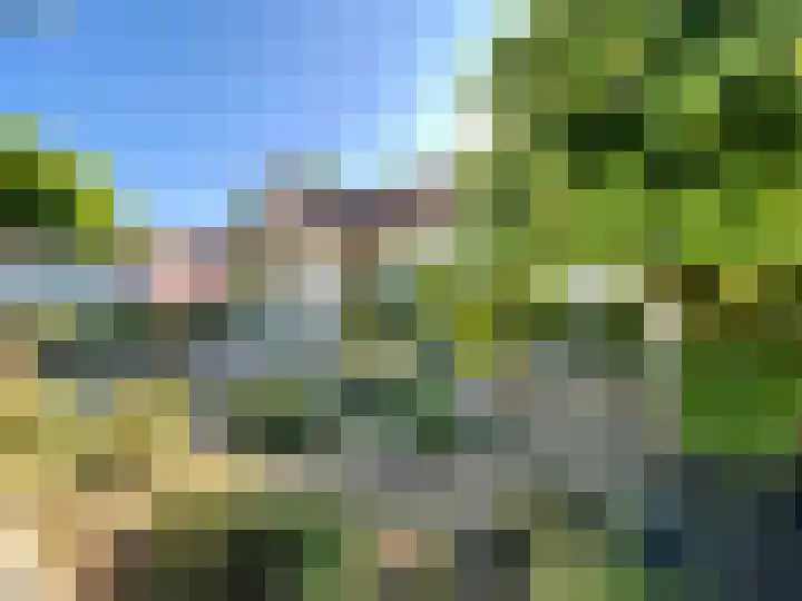 Dijk 18 Grevenbicht thumbnail 38