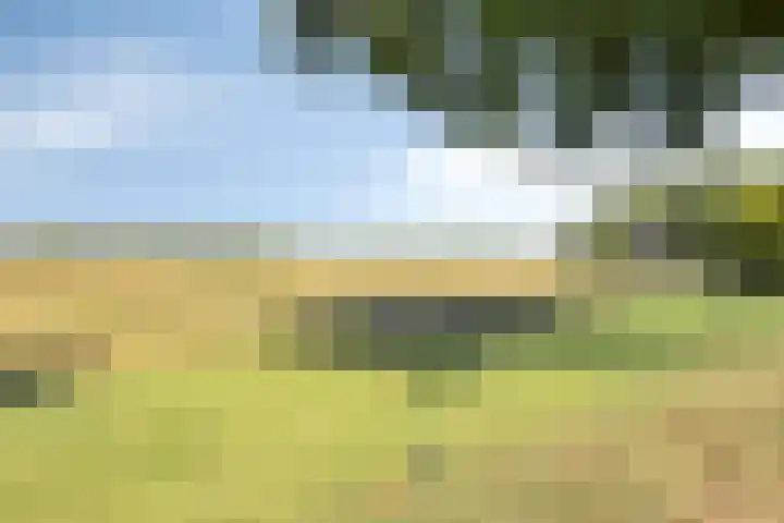 Dijk 18 Grevenbicht thumbnail 43