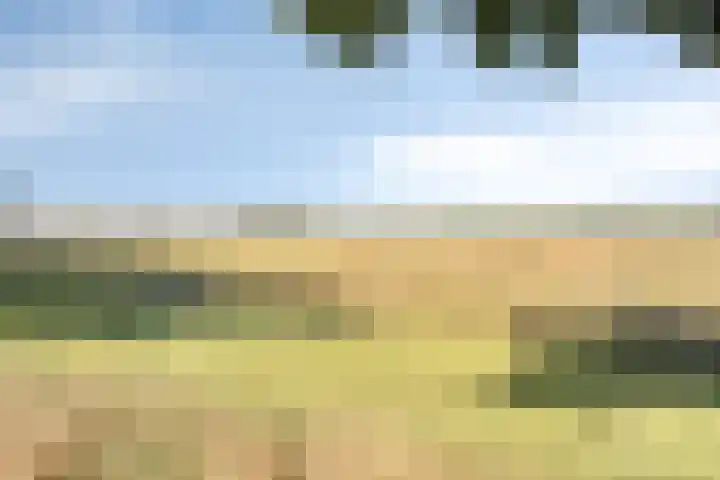 Dijk 18 Grevenbicht thumbnail 44