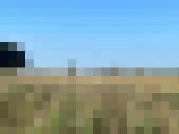 Dijk 18 Grevenbicht thumbnail 45