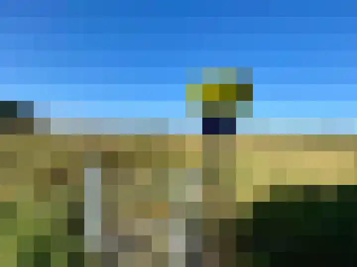 Dijk 18 Grevenbicht thumbnail 46