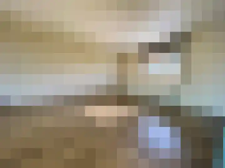 Dijk 18 Grevenbicht thumbnail 7