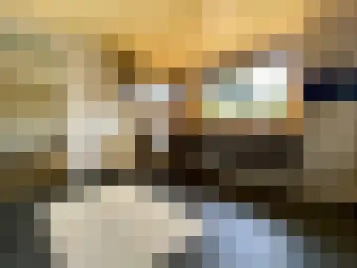 Dijk 18 Grevenbicht thumbnail 9