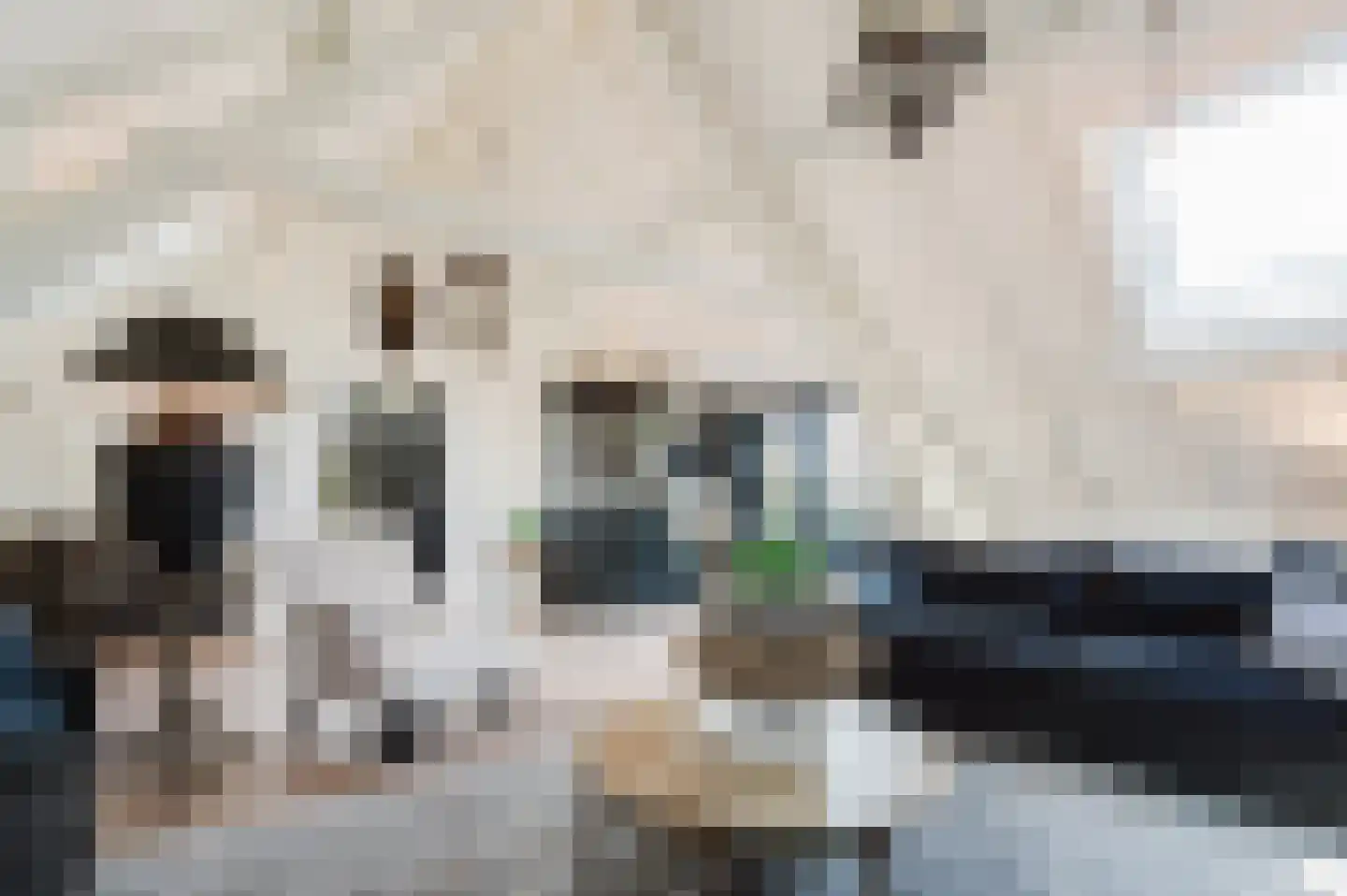 Dijk 2 Ohé en Laak thumbnail 10