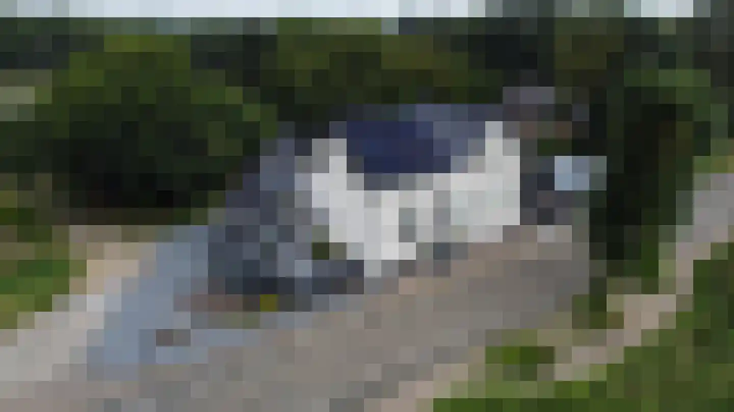 Dijk 2 Ohé en Laak thumbnail 13