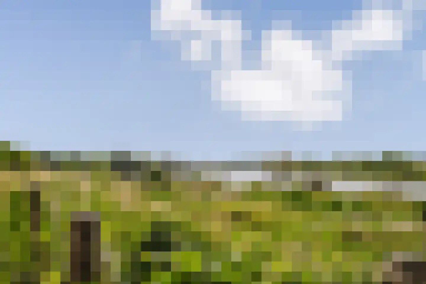 Dijk 2 Ohé en Laak thumbnail 14