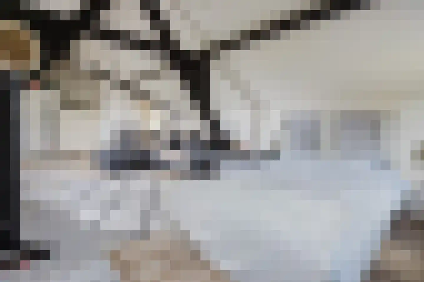 Dijk 2 Ohé en Laak thumbnail 15