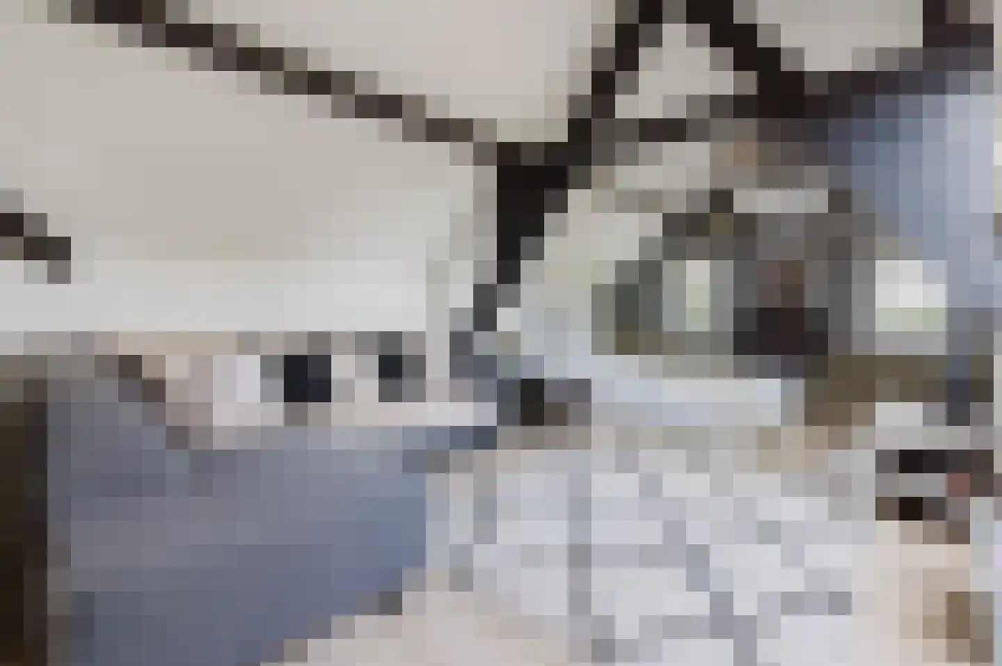 Dijk 2 Ohé en Laak thumbnail 16
