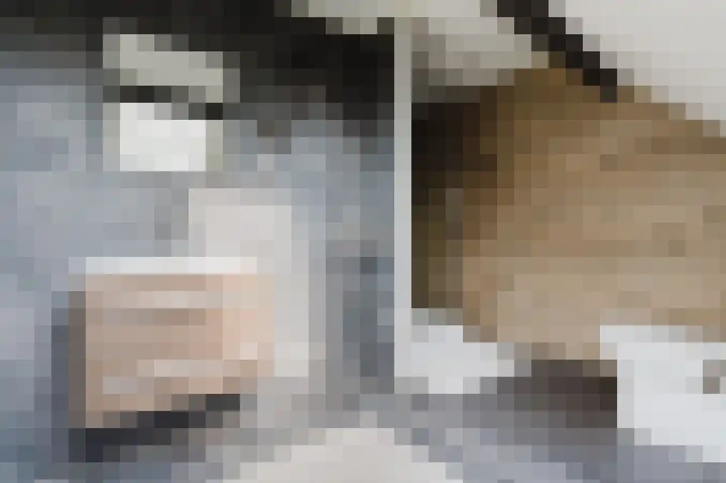 Dijk 2 Ohé en Laak thumbnail 17
