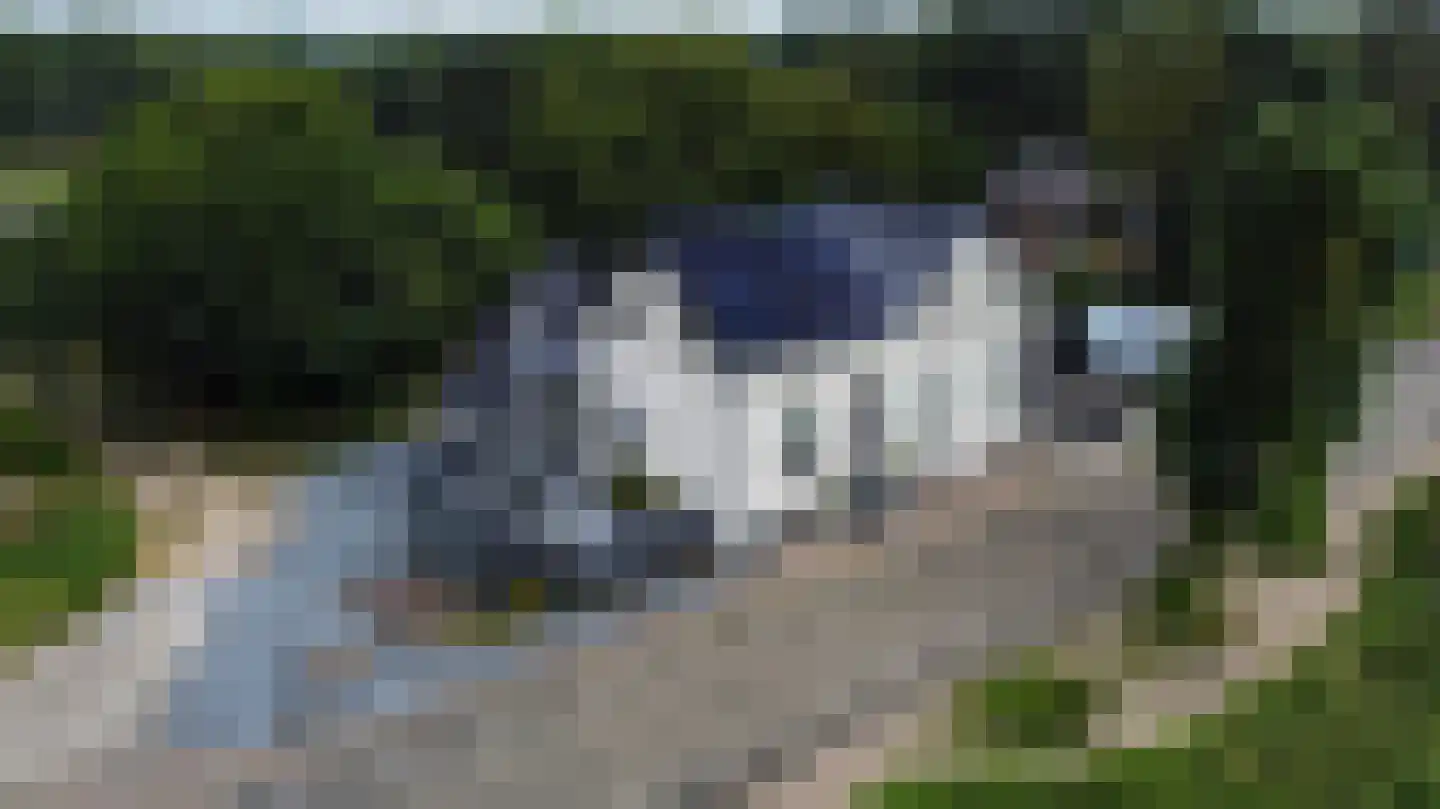 Dijk 2 Ohé en Laak foto 2