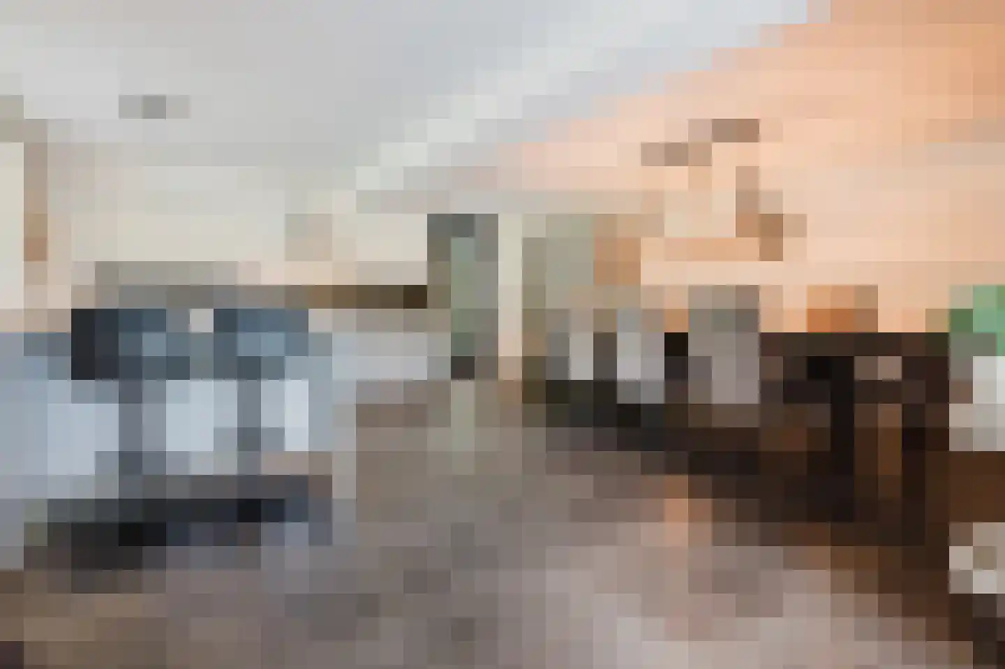Dijk 2 Ohé en Laak thumbnail 20