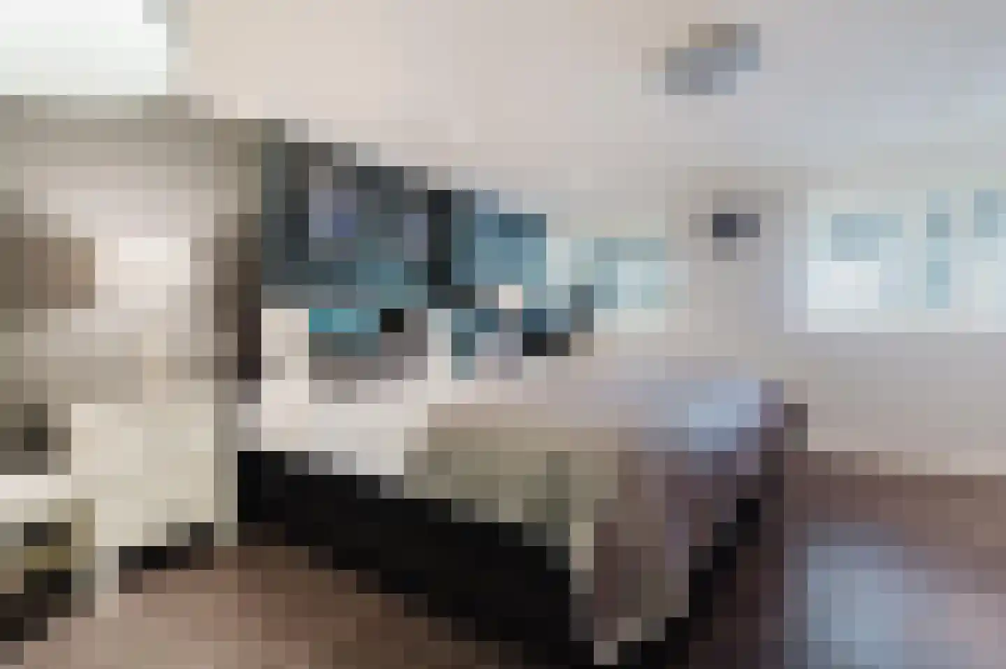 Dijk 2 Ohé en Laak thumbnail 29