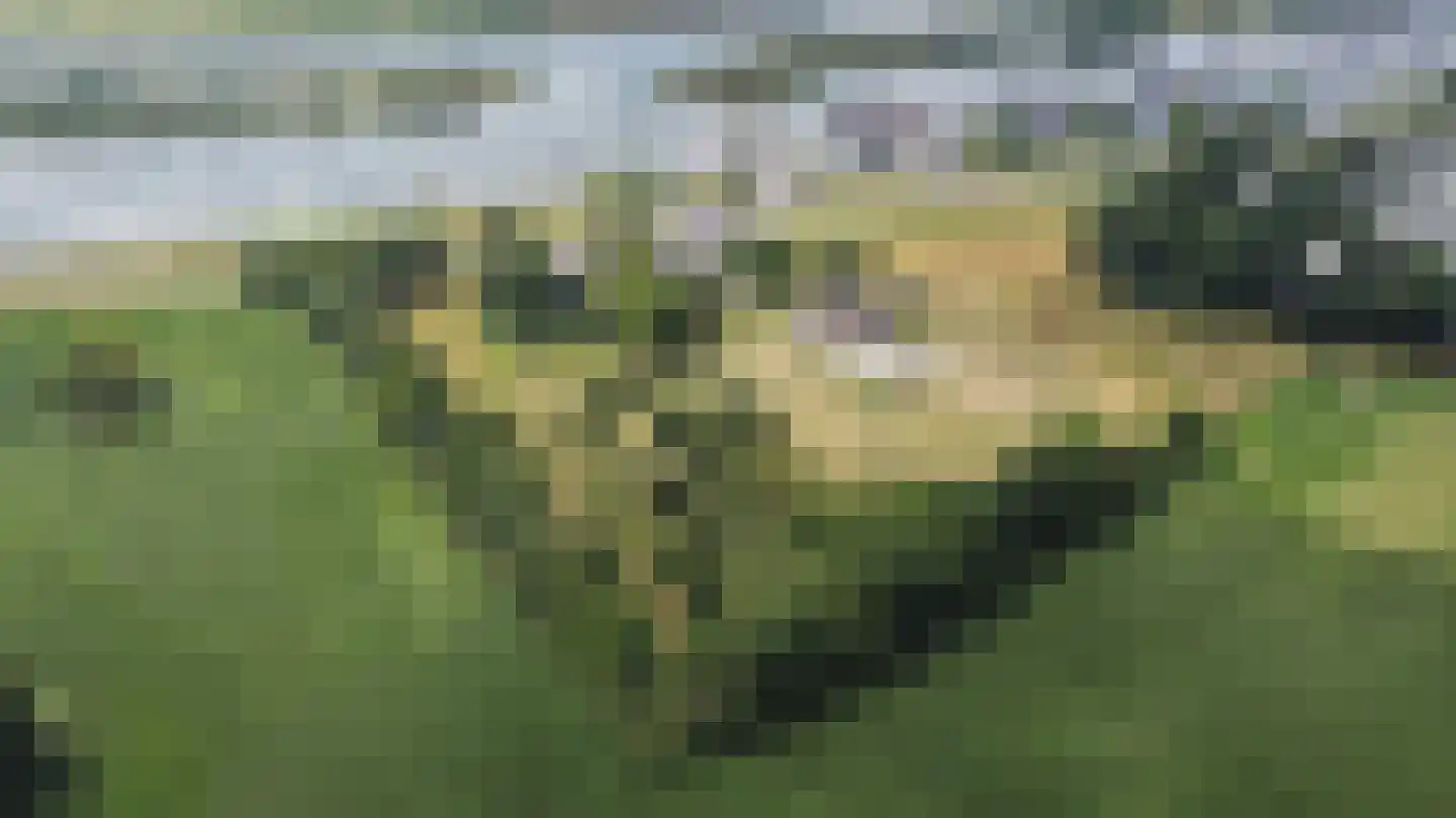 Dijk 2 Ohé en Laak foto 3