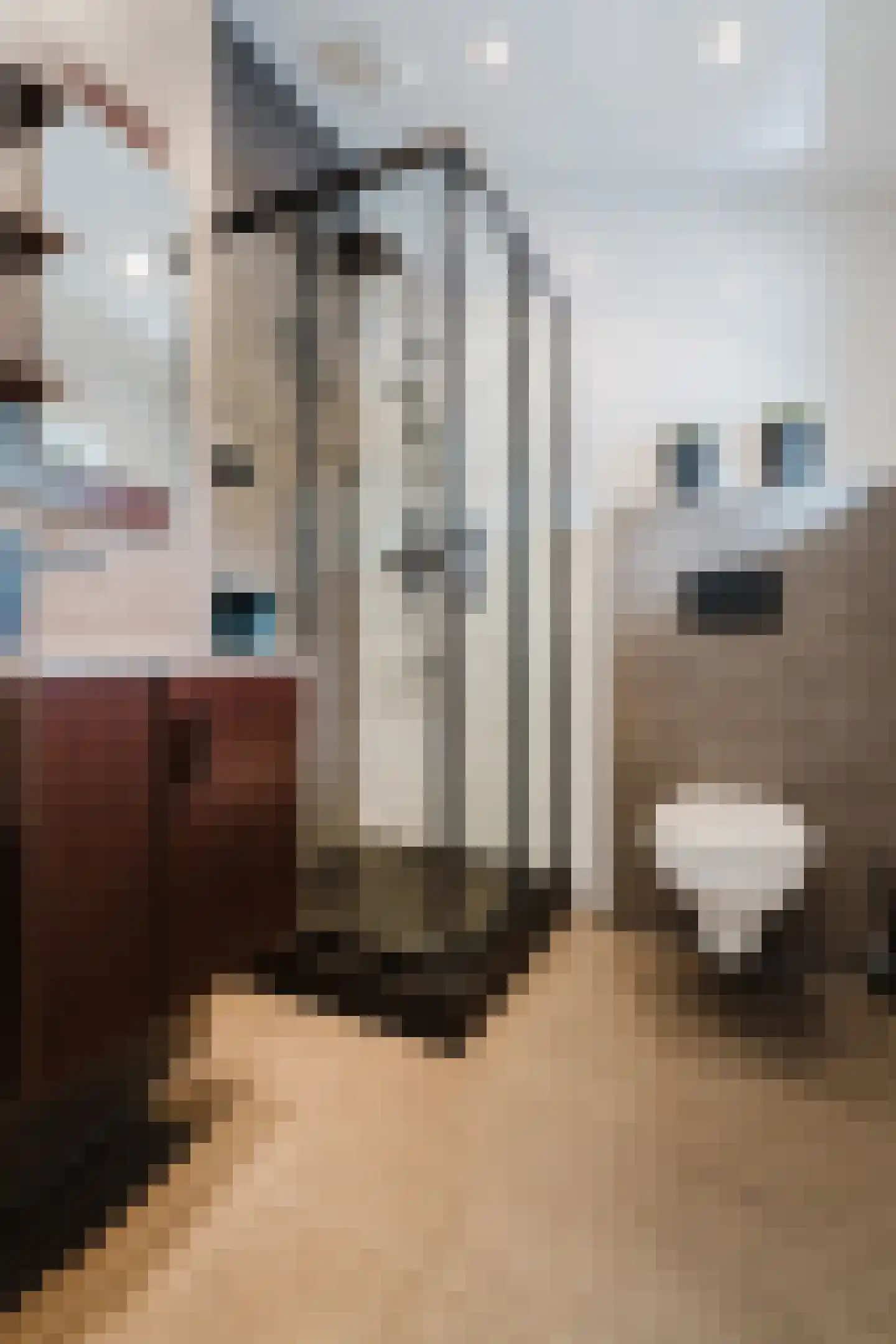 Dijk 2 Ohé en Laak thumbnail 30