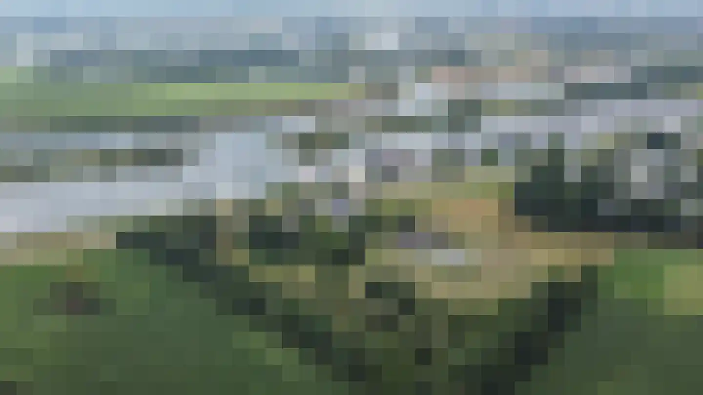 Dijk 2 Ohé en Laak thumbnail 42
