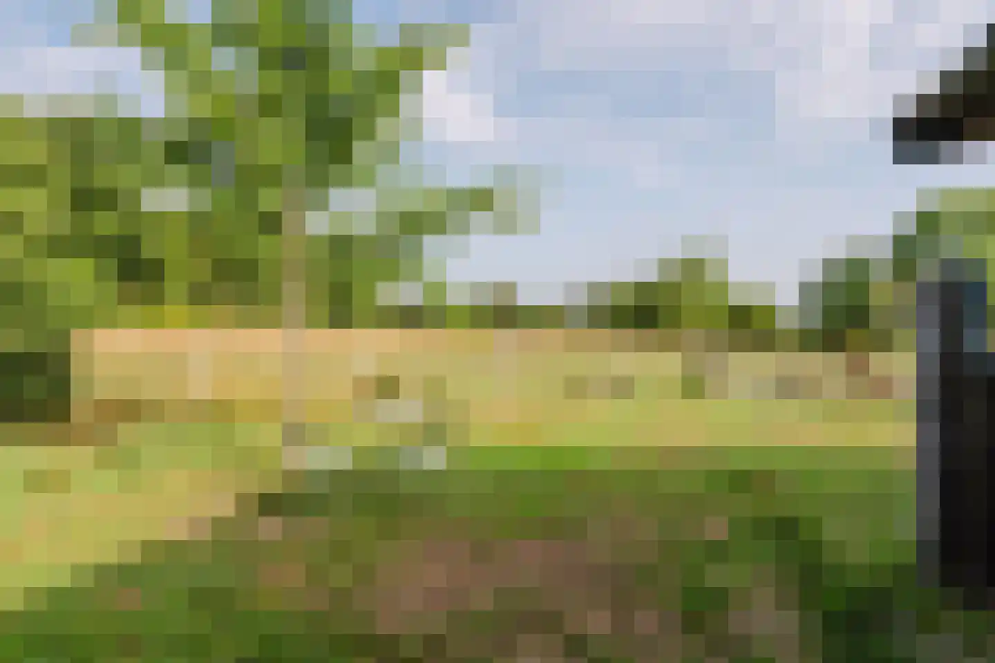 Dijk 2 Ohé en Laak thumbnail 43