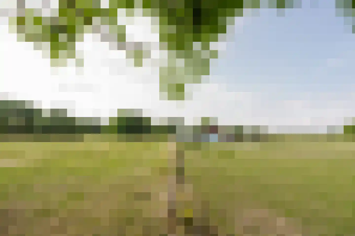 Dijk 2 Ohé en Laak thumbnail 44