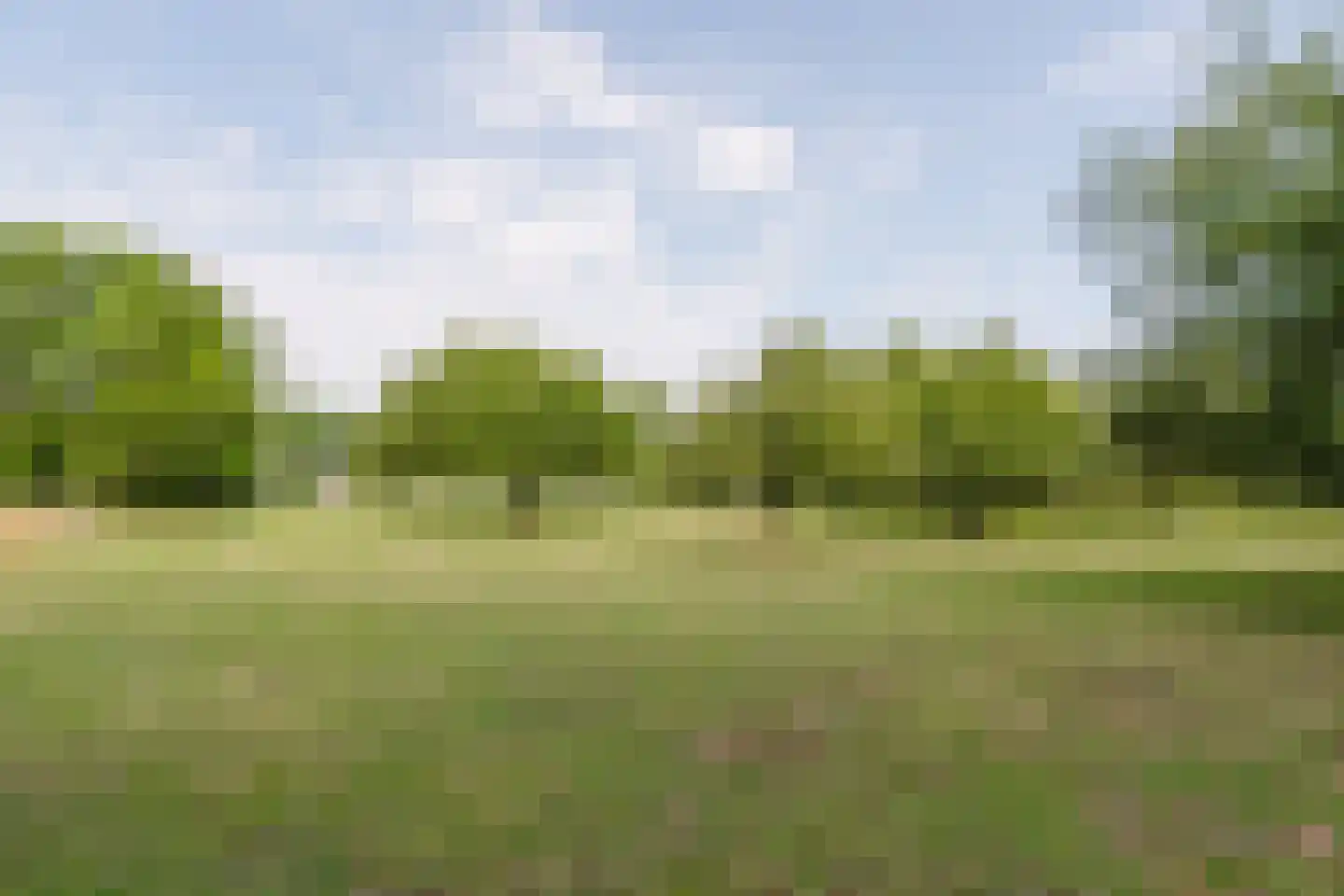 Dijk 2 Ohé en Laak thumbnail 45