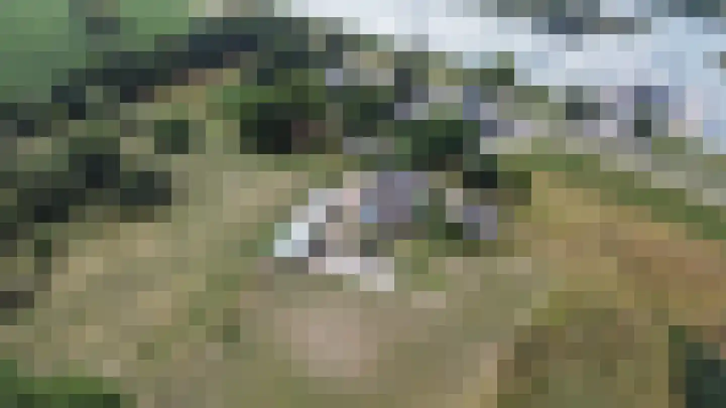 Dijk 2 Ohé en Laak thumbnail 47