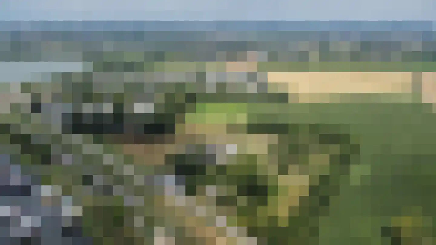 Dijk 2 Ohé en Laak thumbnail 48