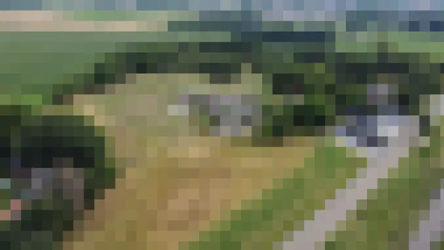 Dijk 2 Ohé en Laak thumbnail 5