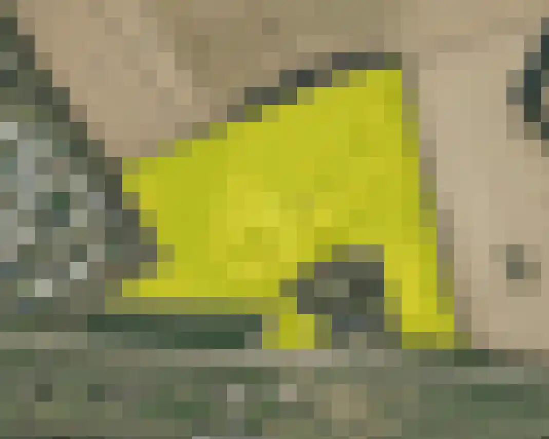 Dijk 2 Ohé en Laak thumbnail 50