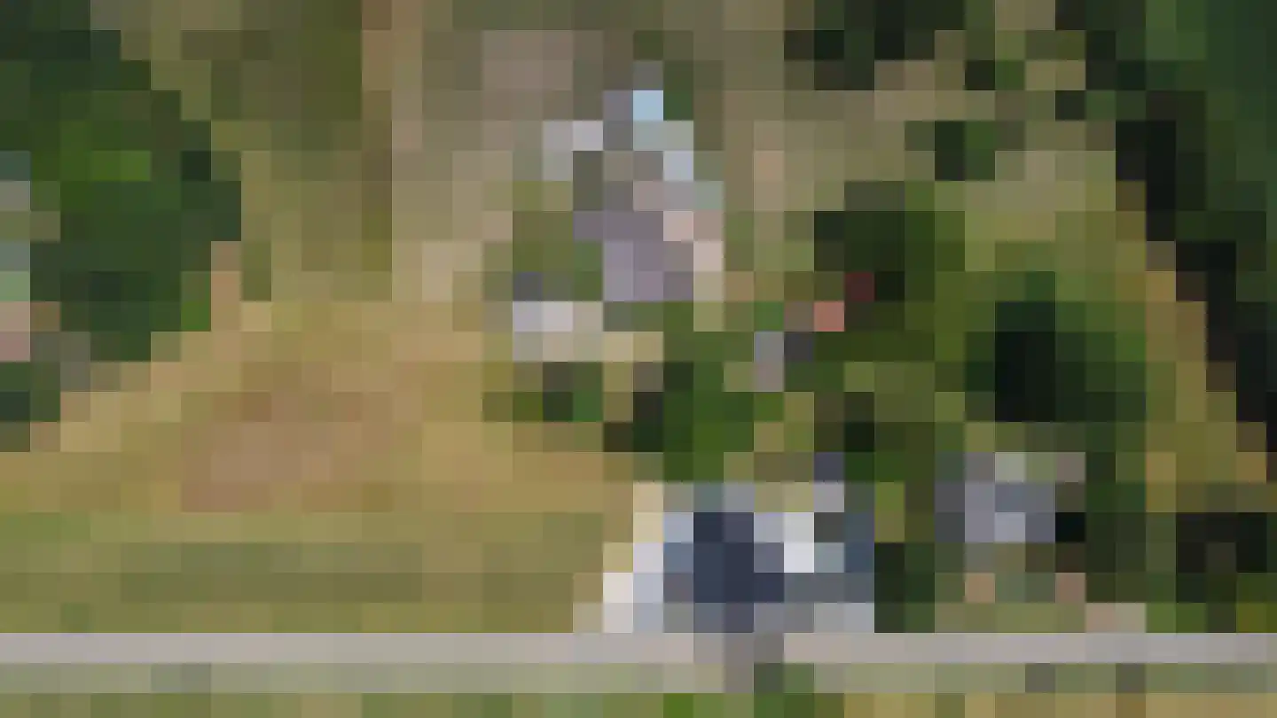 Dijk 2 Ohé en Laak thumbnail 57