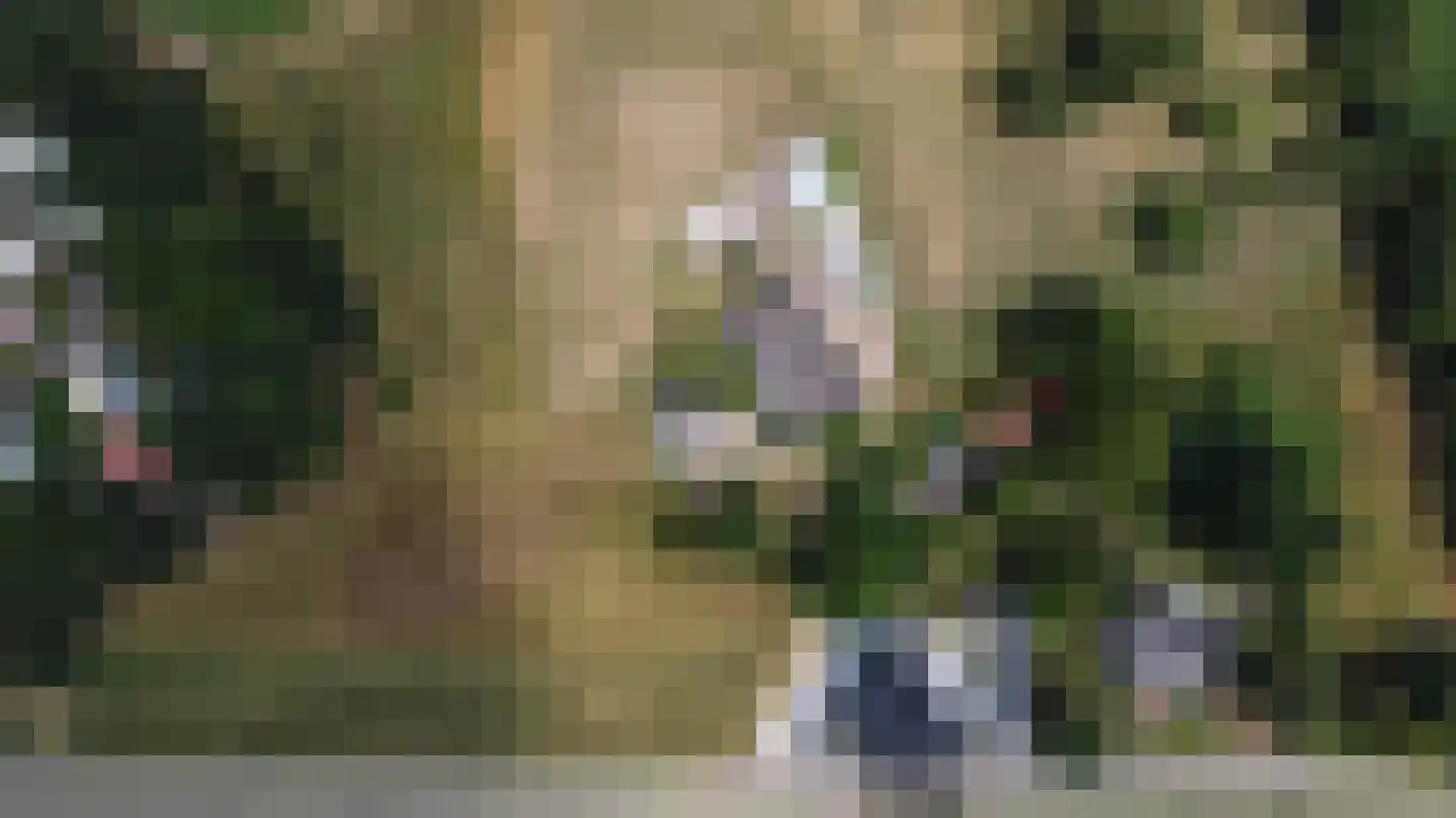 Dijk 2 Ohé en Laak thumbnail 58