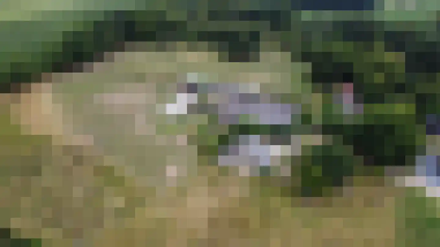 Dijk 2 Ohé en Laak thumbnail 59