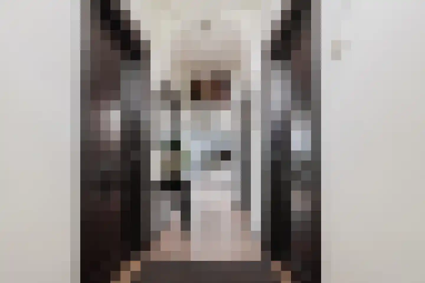 Dijk 2 Ohé en Laak thumbnail 6