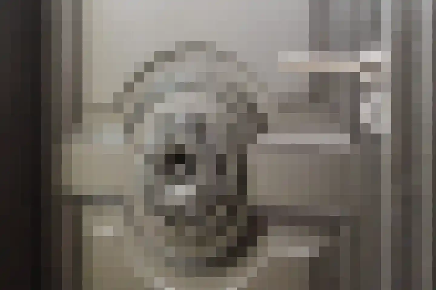 Dijk 2 Ohé en Laak thumbnail 7