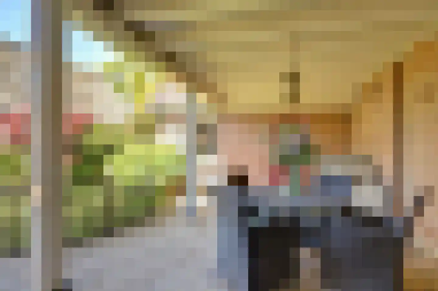 Dijk 21 Broek op Langedijk thumbnail 22