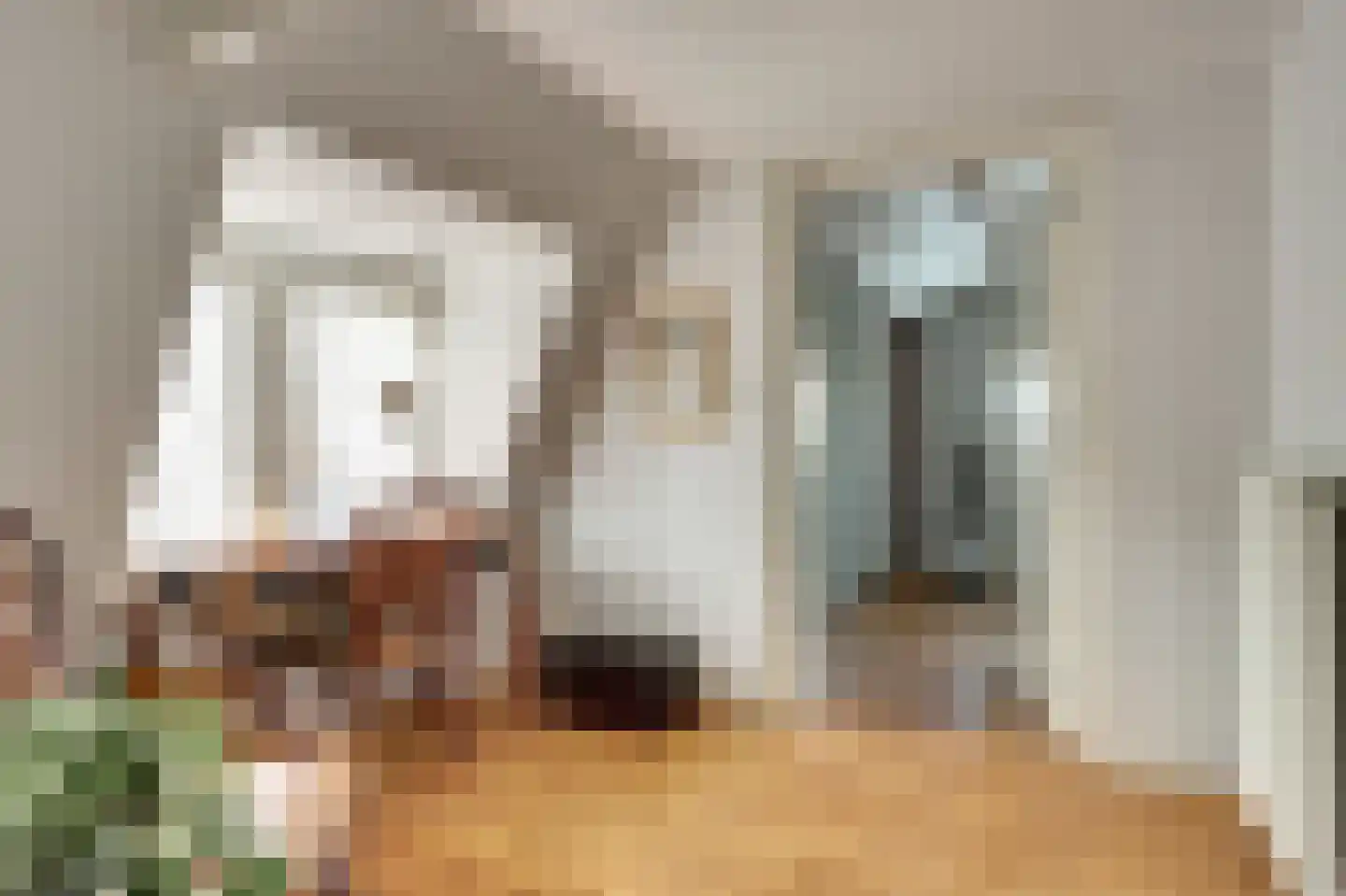 Dijk 21 Broek op Langedijk thumbnail 25