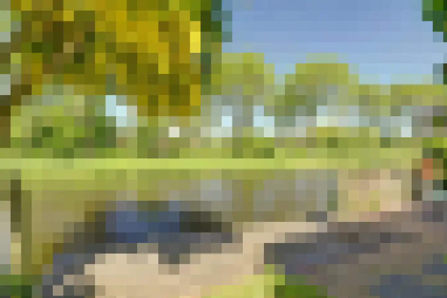 Dijk 21 Broek op Langedijk foto 3