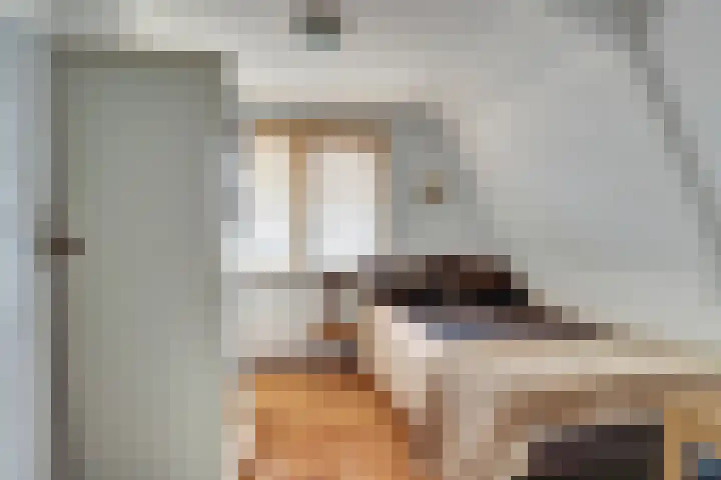 Dijk 21 Broek op Langedijk thumbnail 30