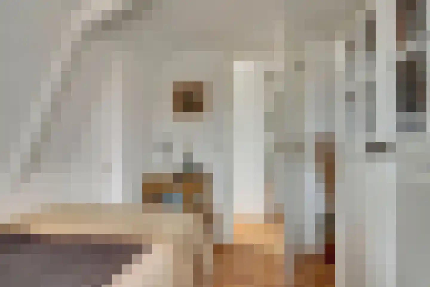 Dijk 21 Broek op Langedijk thumbnail 31