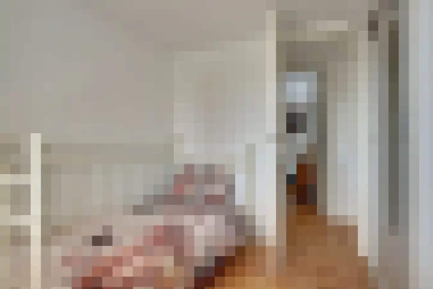Dijk 21 Broek op Langedijk thumbnail 34