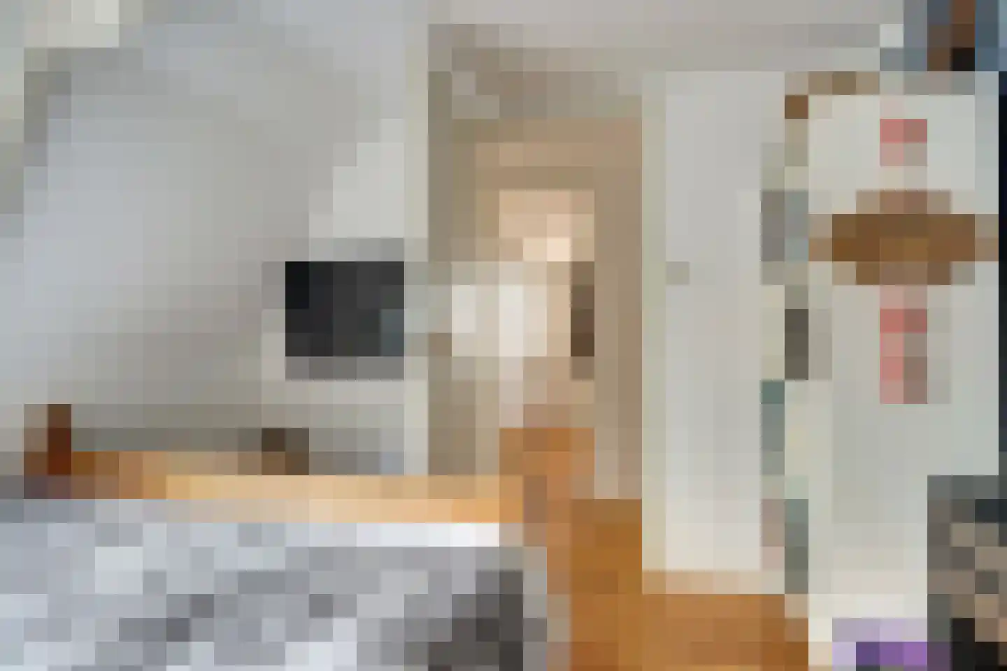 Dijk 21 Broek op Langedijk thumbnail 36