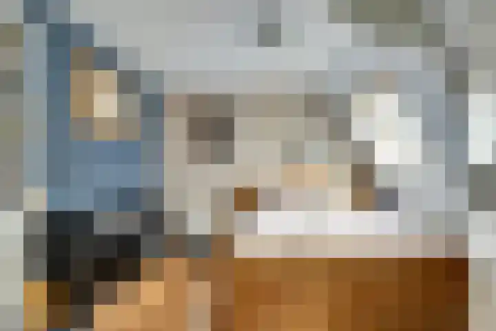 Dijk 21 Broek op Langedijk thumbnail 37