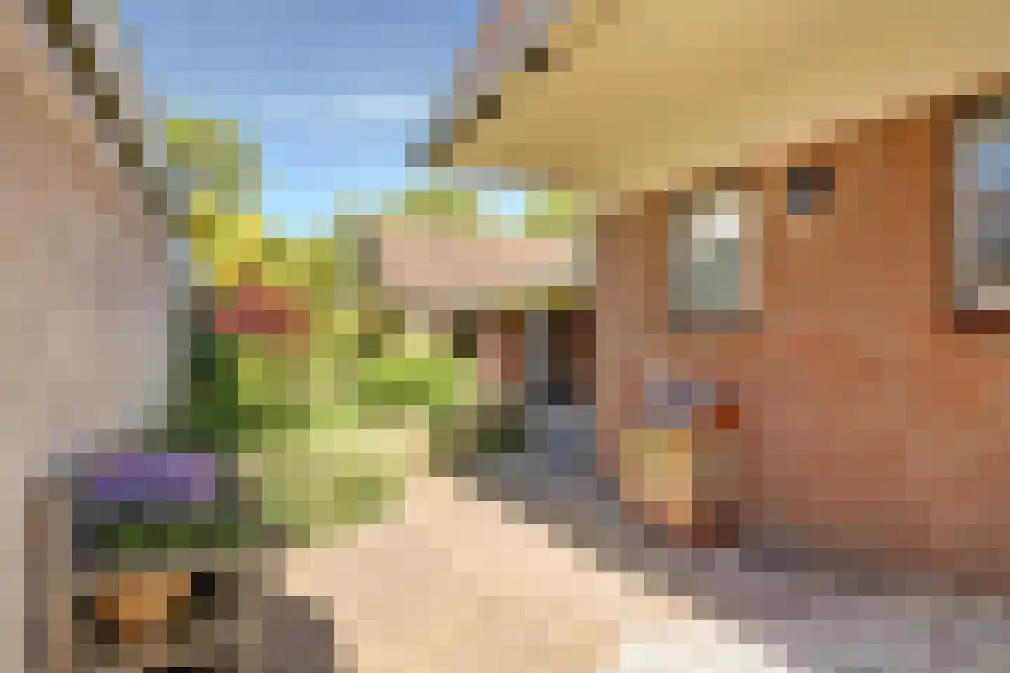 Dijk 21 Broek op Langedijk thumbnail 37