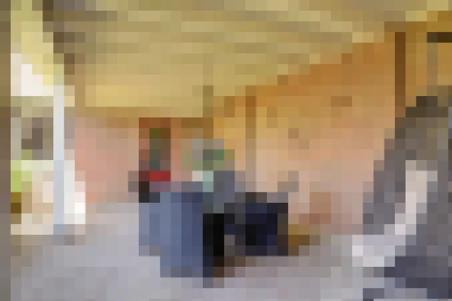 Dijk 21 Broek op Langedijk thumbnail 39