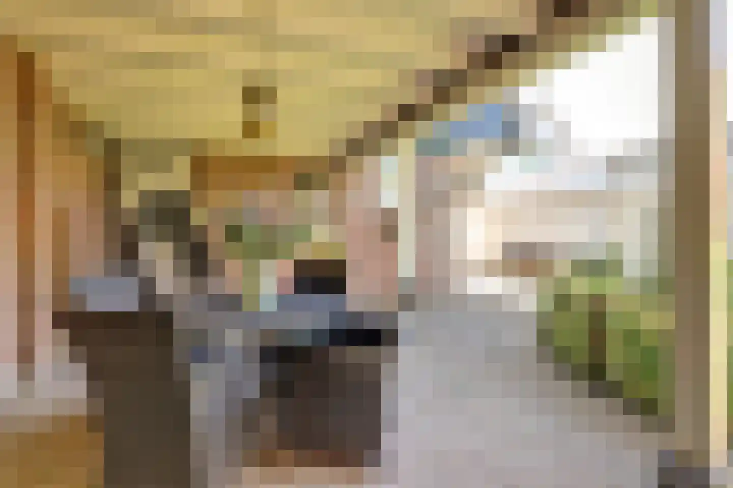 Dijk 21 Broek op Langedijk thumbnail 40