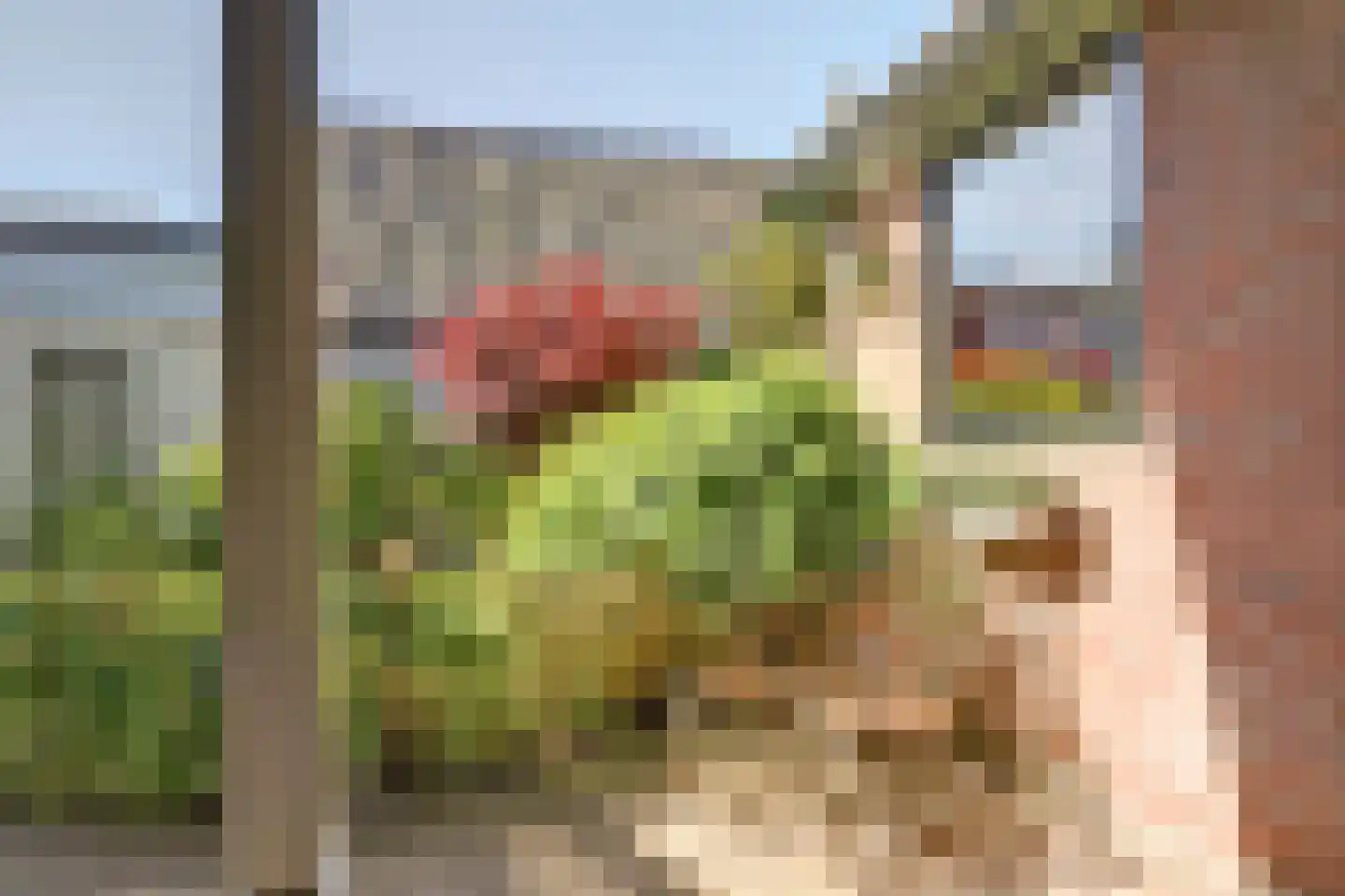 Dijk 21 Broek op Langedijk thumbnail 41