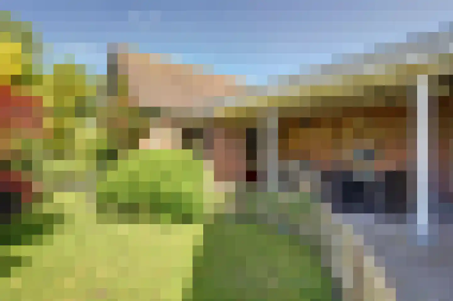 Dijk 21 Broek op Langedijk thumbnail 42