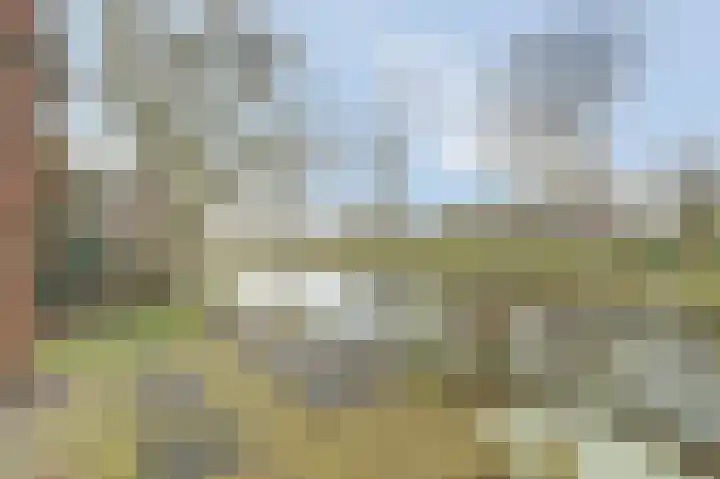 Dijk 21 Broek op Langedijk thumbnail 44