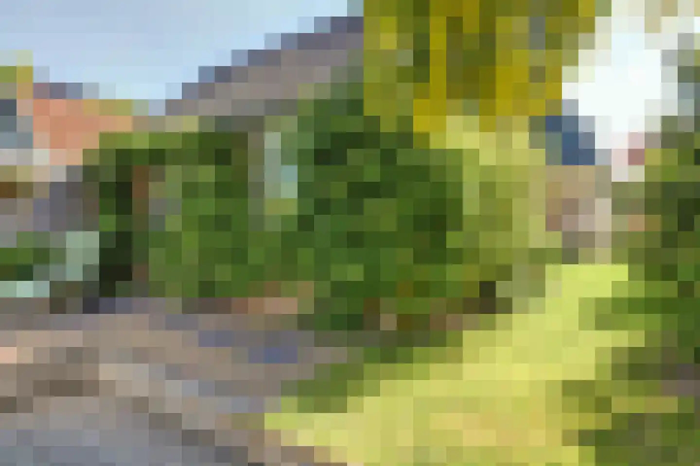 Dijk 21 Broek op Langedijk thumbnail 44