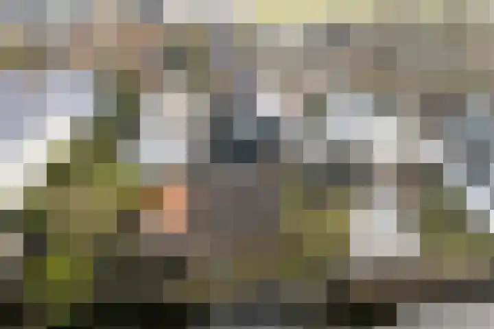 Dijk 21 Broek op Langedijk thumbnail 51