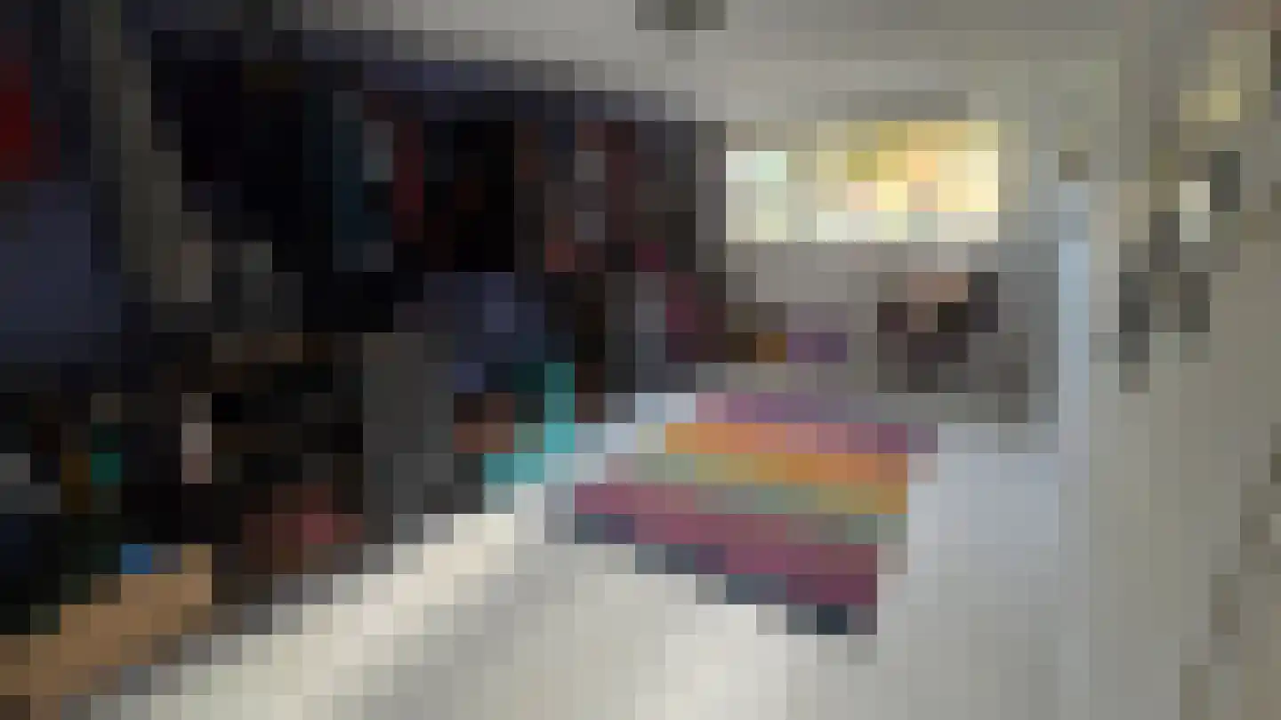 Dijk 23 A Grevenbicht thumbnail 20