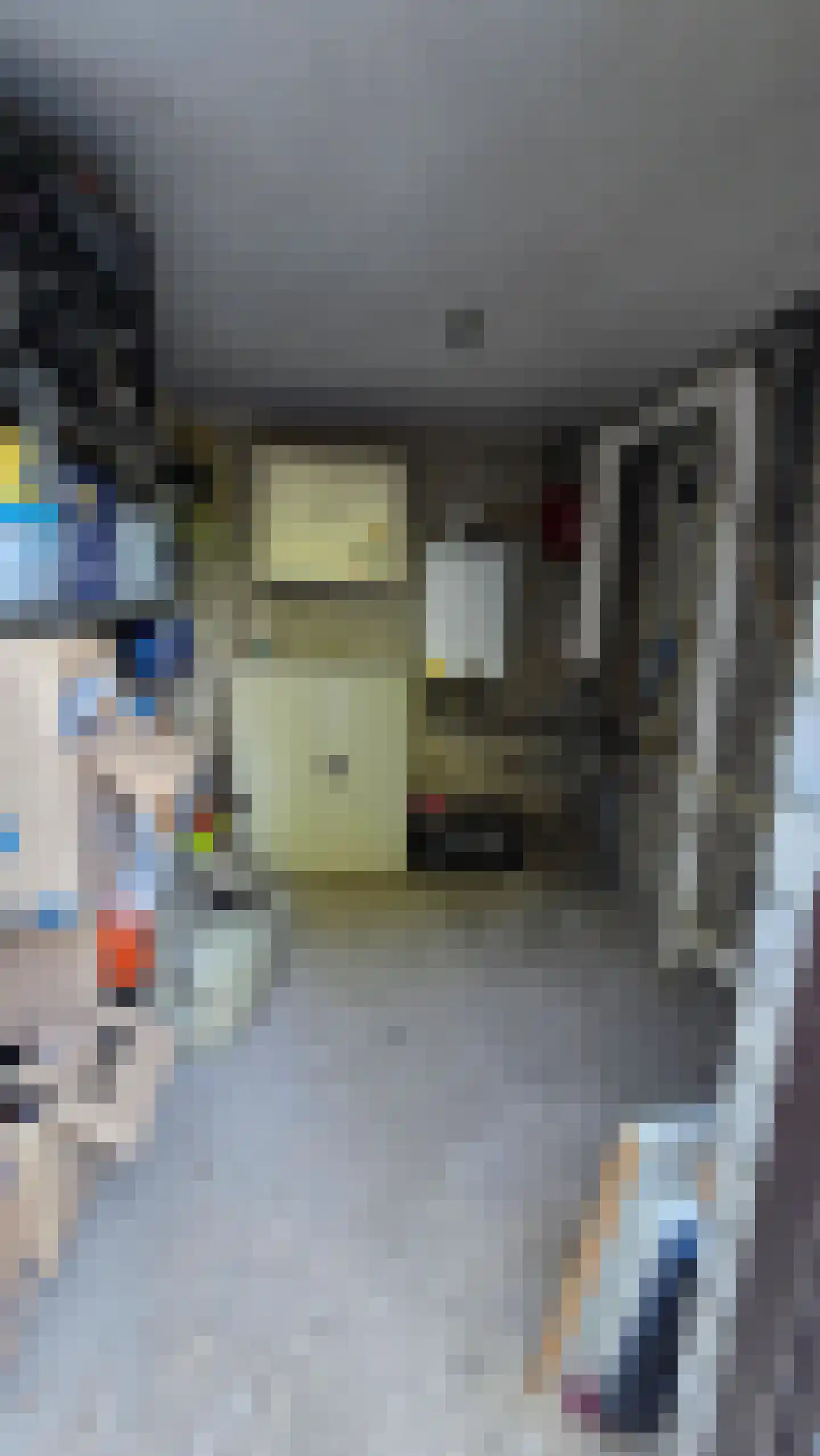 Dijk 23 A Grevenbicht thumbnail 21